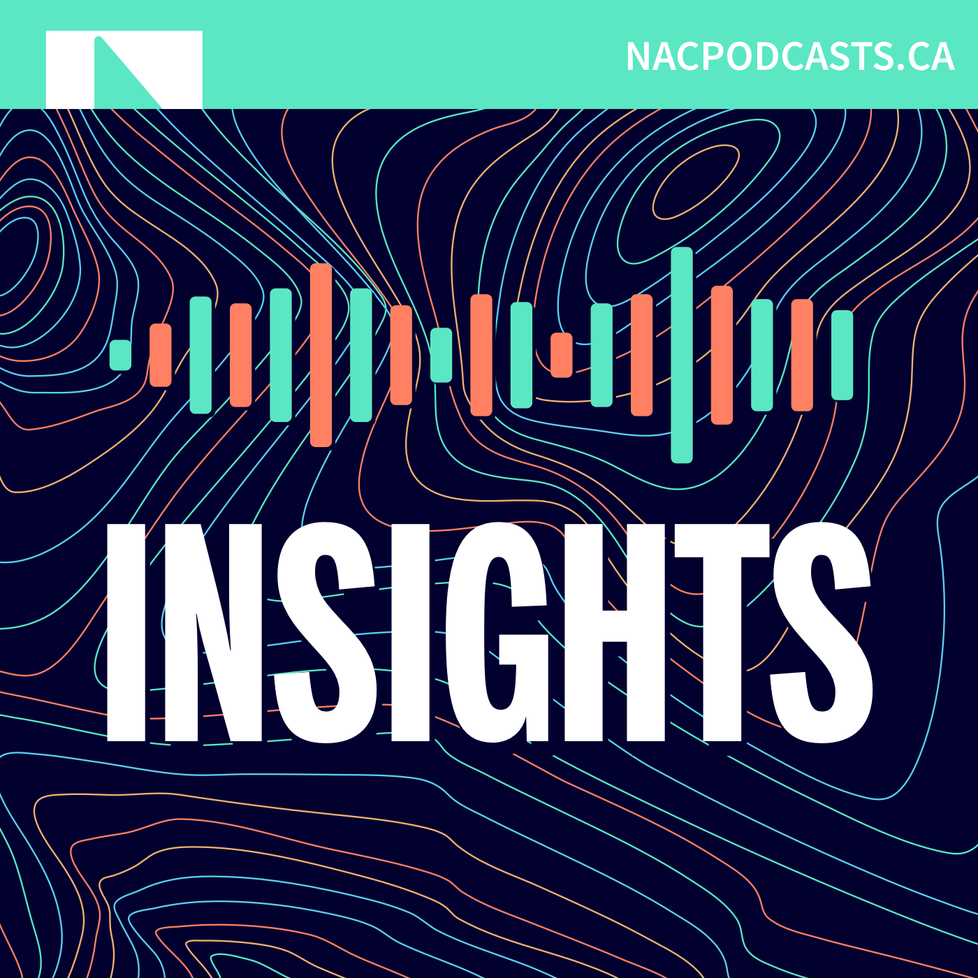 Insights podcast show image
